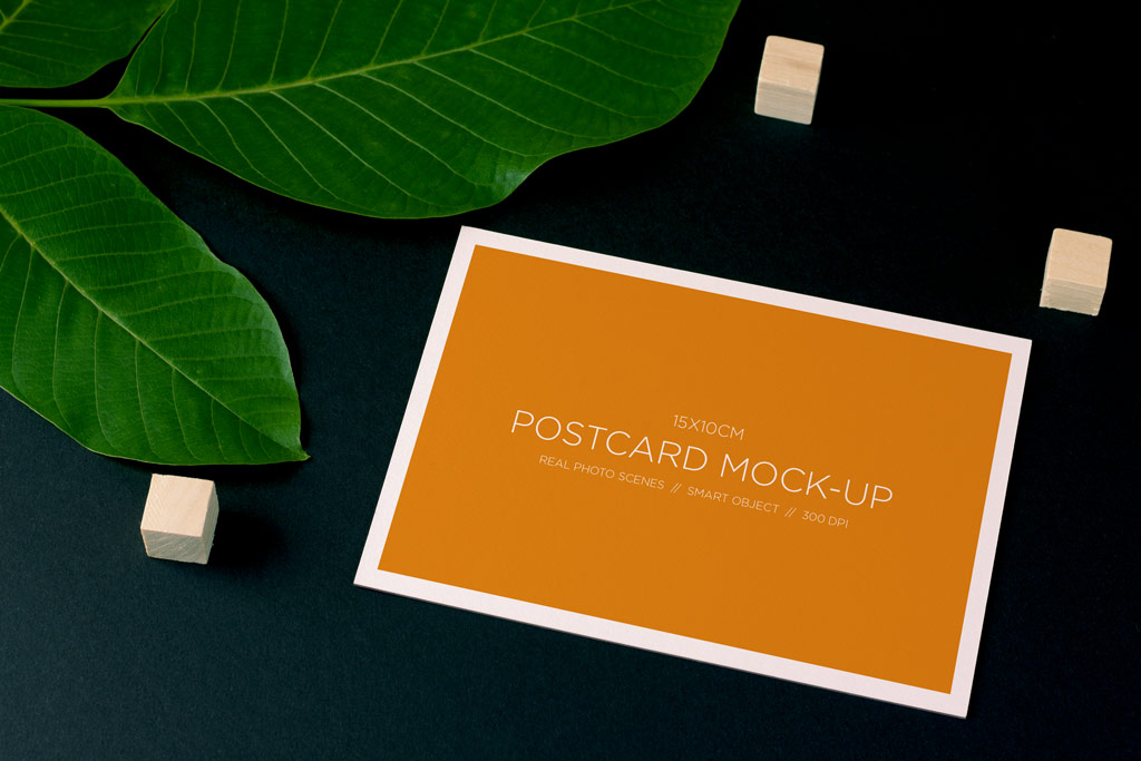 New Free Mockups – Postcard and Plant Mockup – Download Now