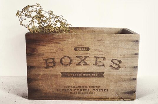 Download Set of wooden Vintage Boxes Mockups | Mockup World