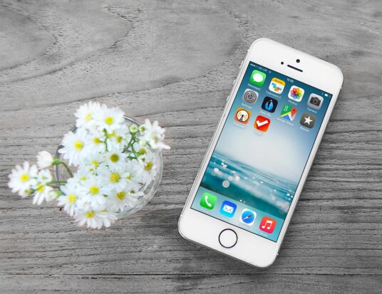 Download iPhone and Flowers Mockup | Mockup World