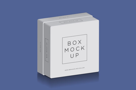 Download Box Mockup Set Mockup World