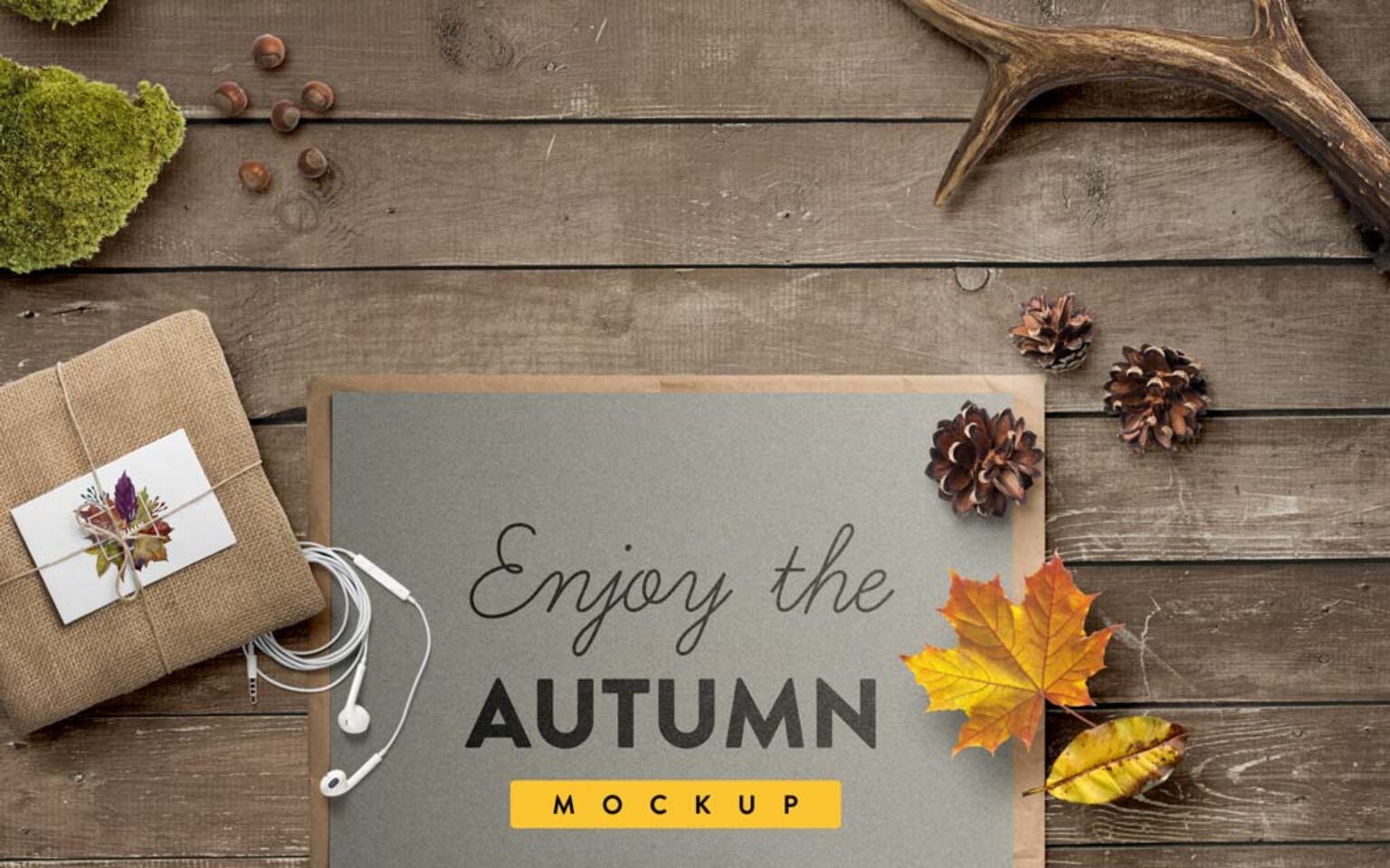 Download Autumn Mockup Scene Generator | Mockup World